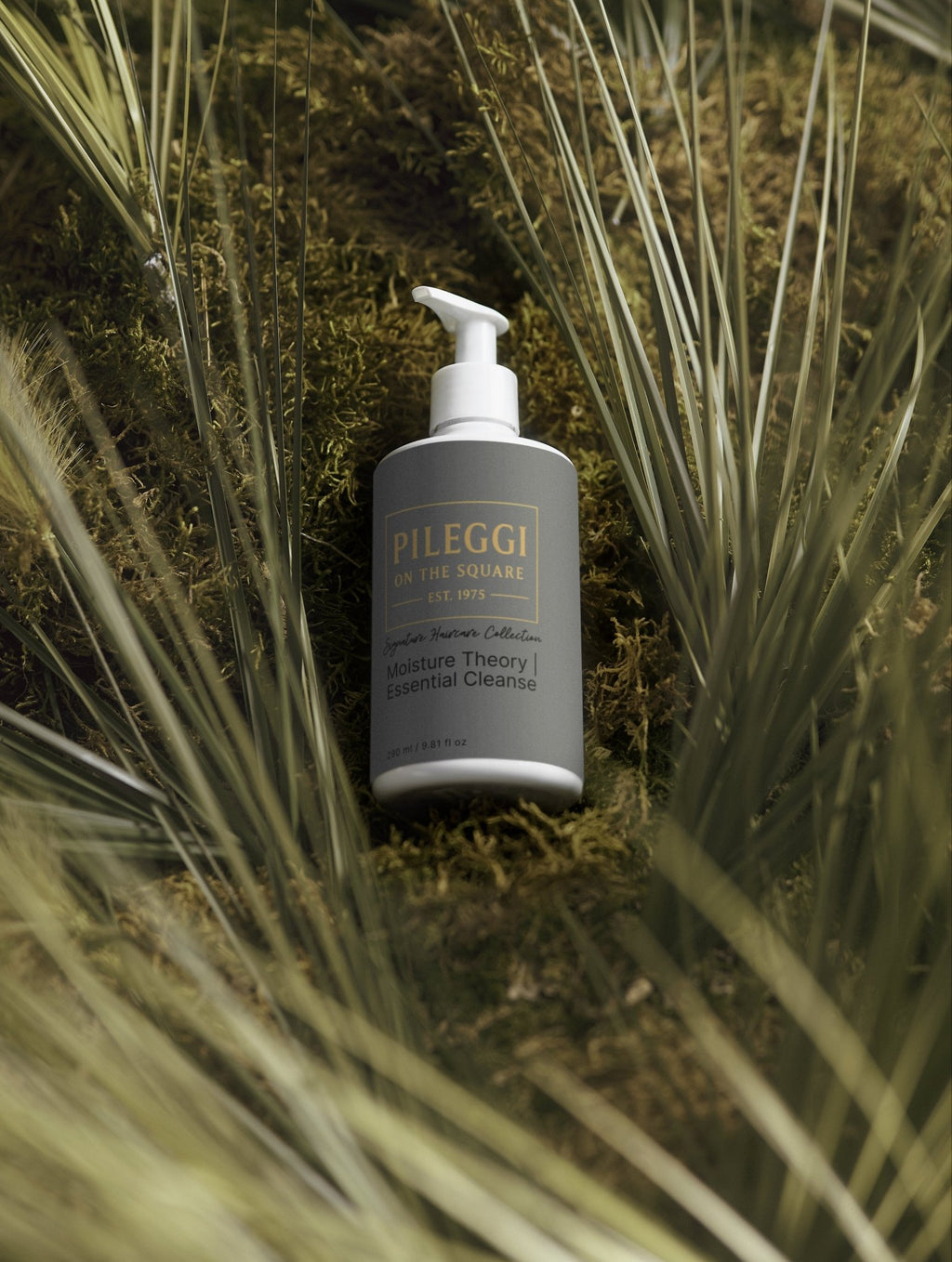 Moisture Theory Shampoo - Essential Cleanse for Hydrated Hair - Pileggi on the Square Salon Powered by Gatto Salon Group