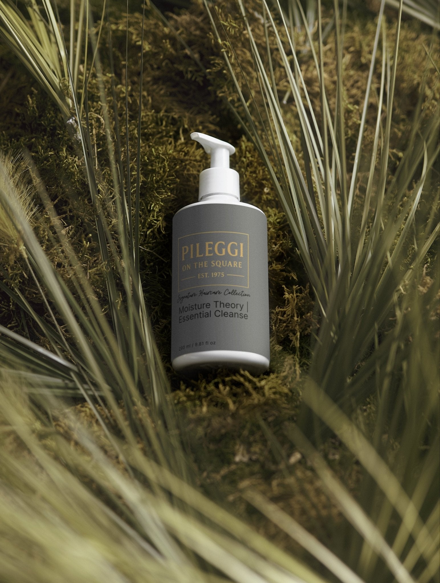 Moisture Theory Shampoo - Essential Cleanse for Hydrated Hair - Pileggi on the Square Salon Powered by Gatto Salon Group