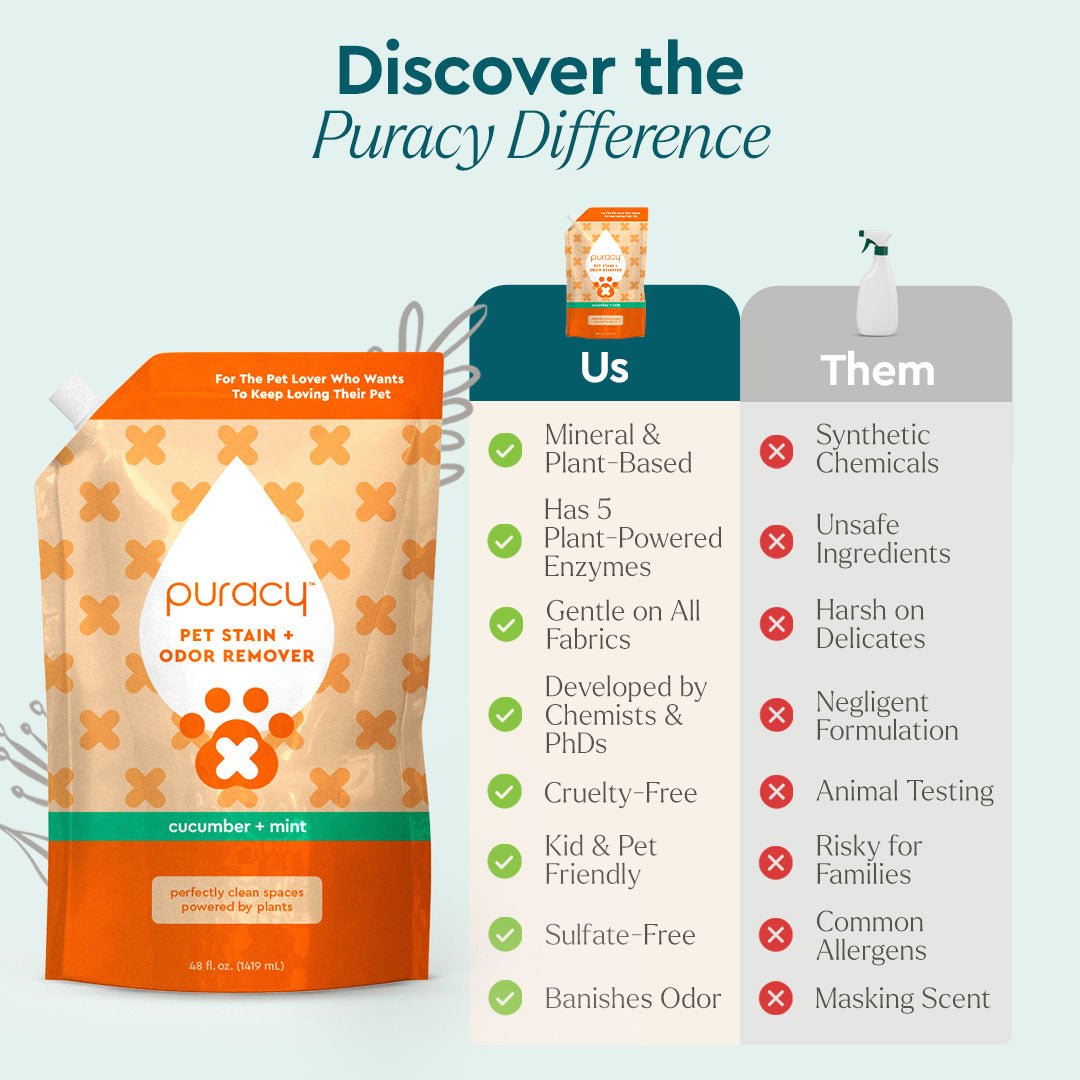 Pet Stain & Odor Remover - Pileggi on the Square Salon Powered by Gatto Salon Group