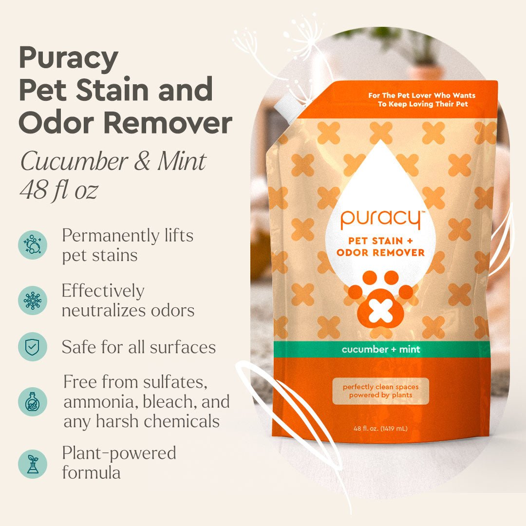 Pet Stain & Odor Remover - Pileggi on the Square Salon Powered by Gatto Salon Group