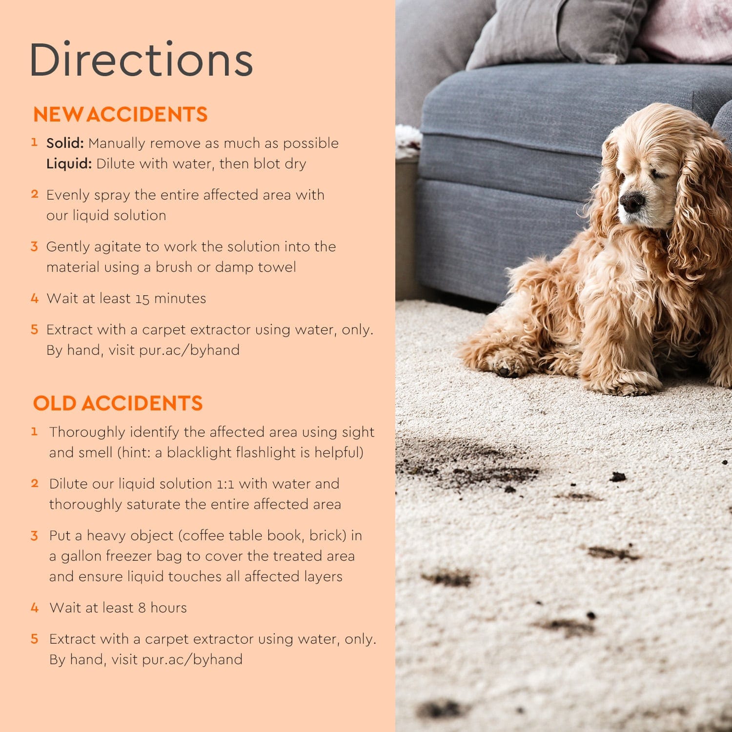 Pet Stain & Odor Remover - Pileggi on the Square Salon Powered by Gatto Salon Group