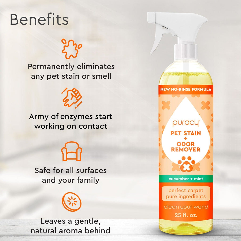 Pet Stain & Odor Remover - Pileggi on the Square Salon Powered by Gatto Salon Group