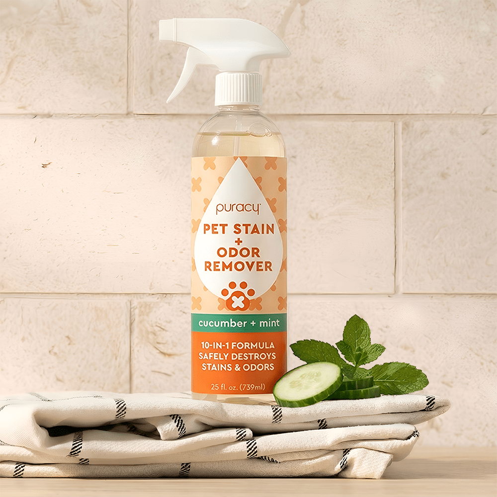 Pet Stain & Odor Remover - Pileggi on the Square Salon Powered by Gatto Salon Group