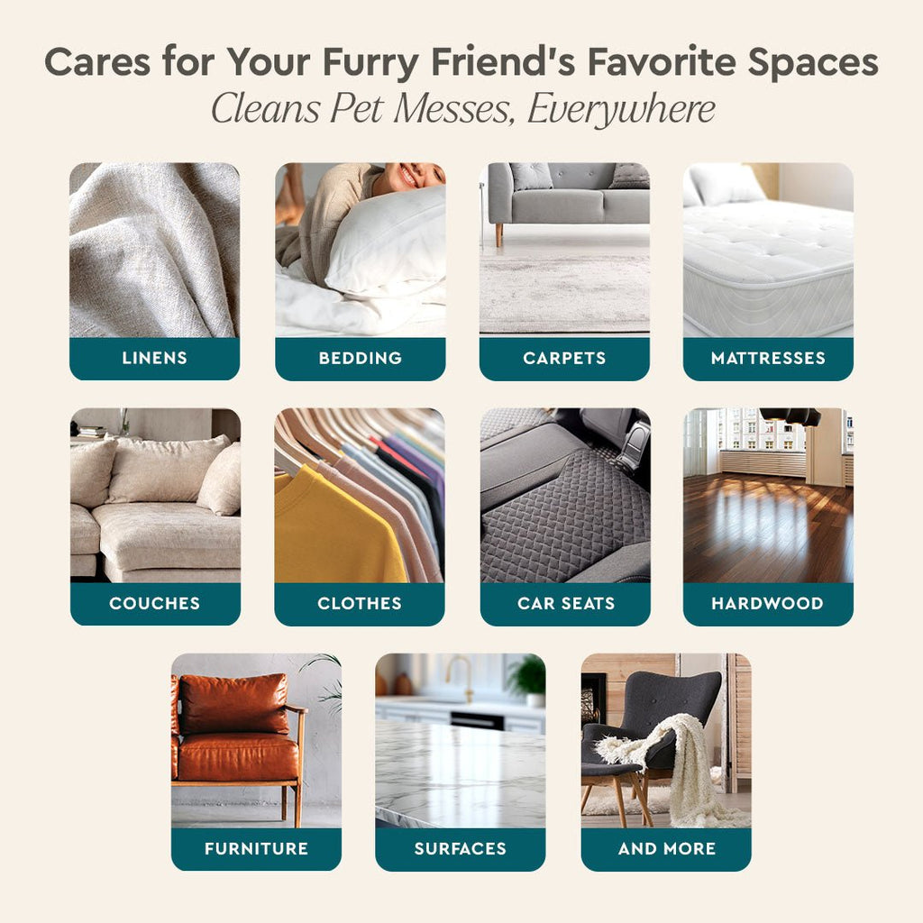 Pet Stain & Odor Remover - Pileggi on the Square Salon Powered by Gatto Salon Group