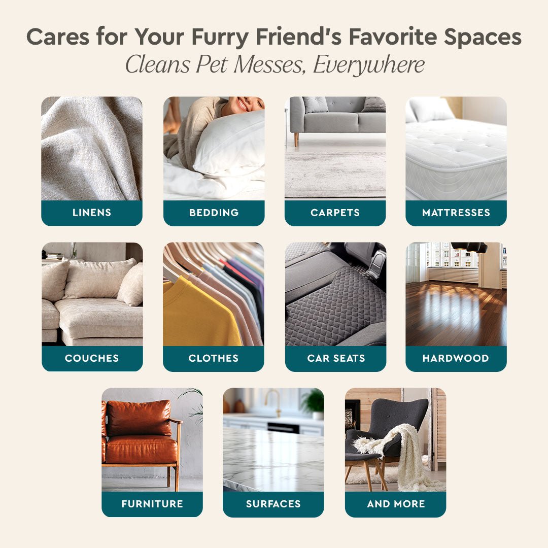 Pet Stain & Odor Remover - Pileggi on the Square Salon Powered by Gatto Salon Group