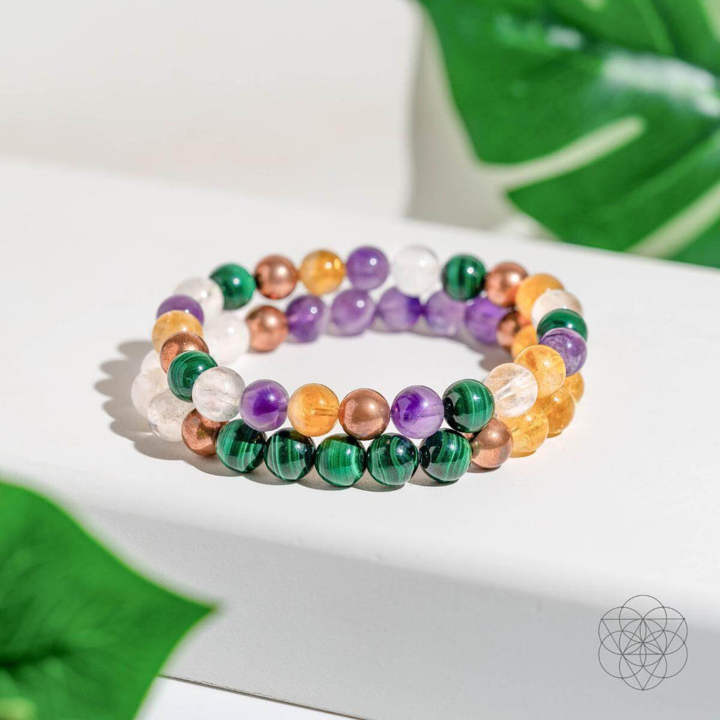 Powerhouse of Wealth Manifestation - Crystal Quartet Bracelet Set - Pileggi on the Square Salon Powered by Gatto Salon Group