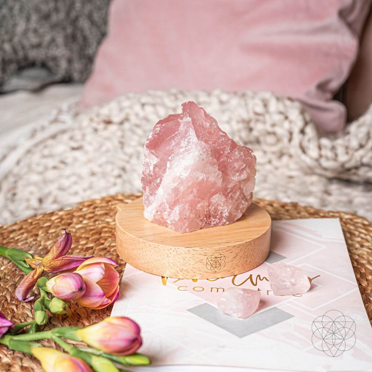 Rose Quartz Lamp of Compassion - Pileggi on the Square Salon Powered by Gatto Salon Group