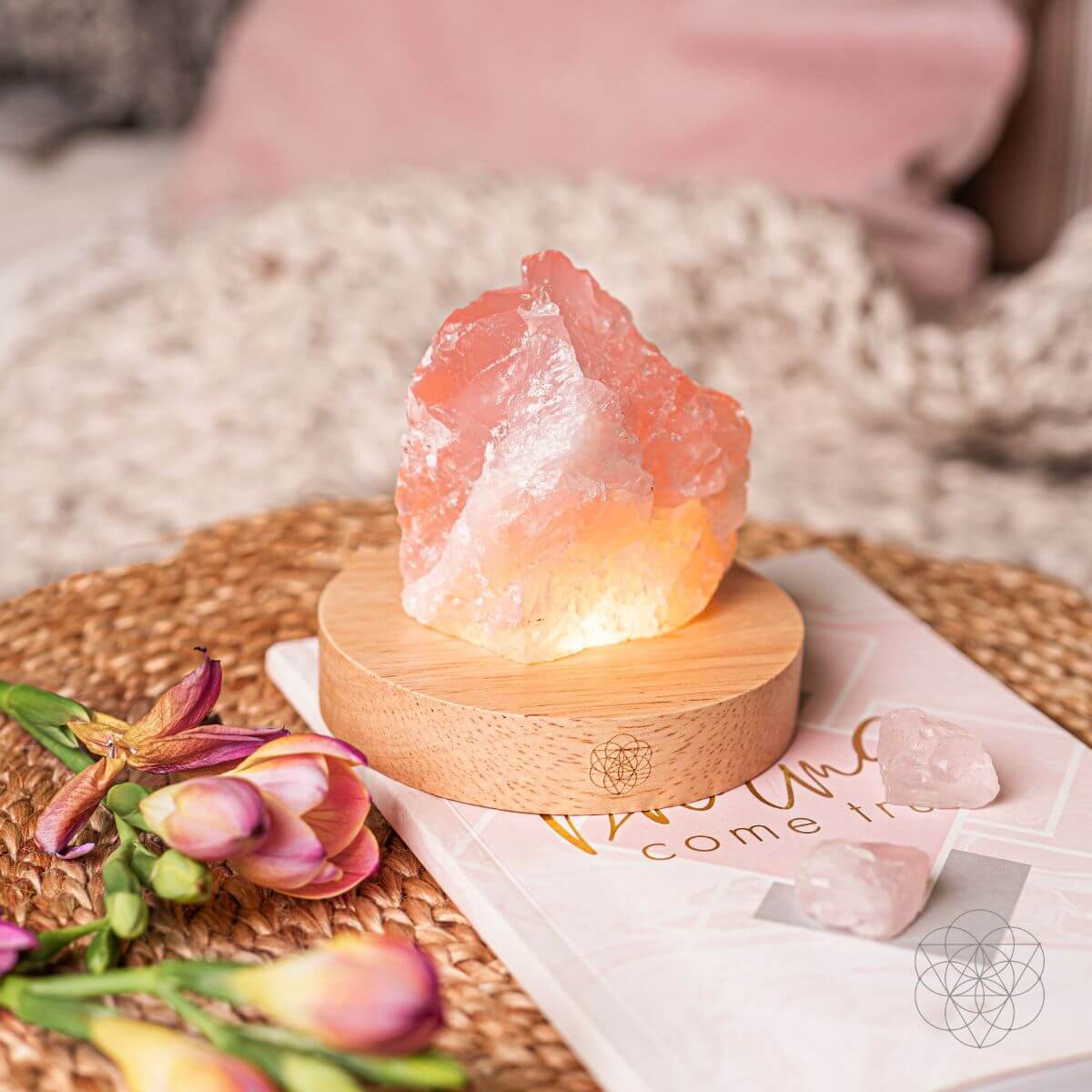 Rose Quartz Lamp of Compassion - Pileggi on the Square Salon Powered by Gatto Salon Group