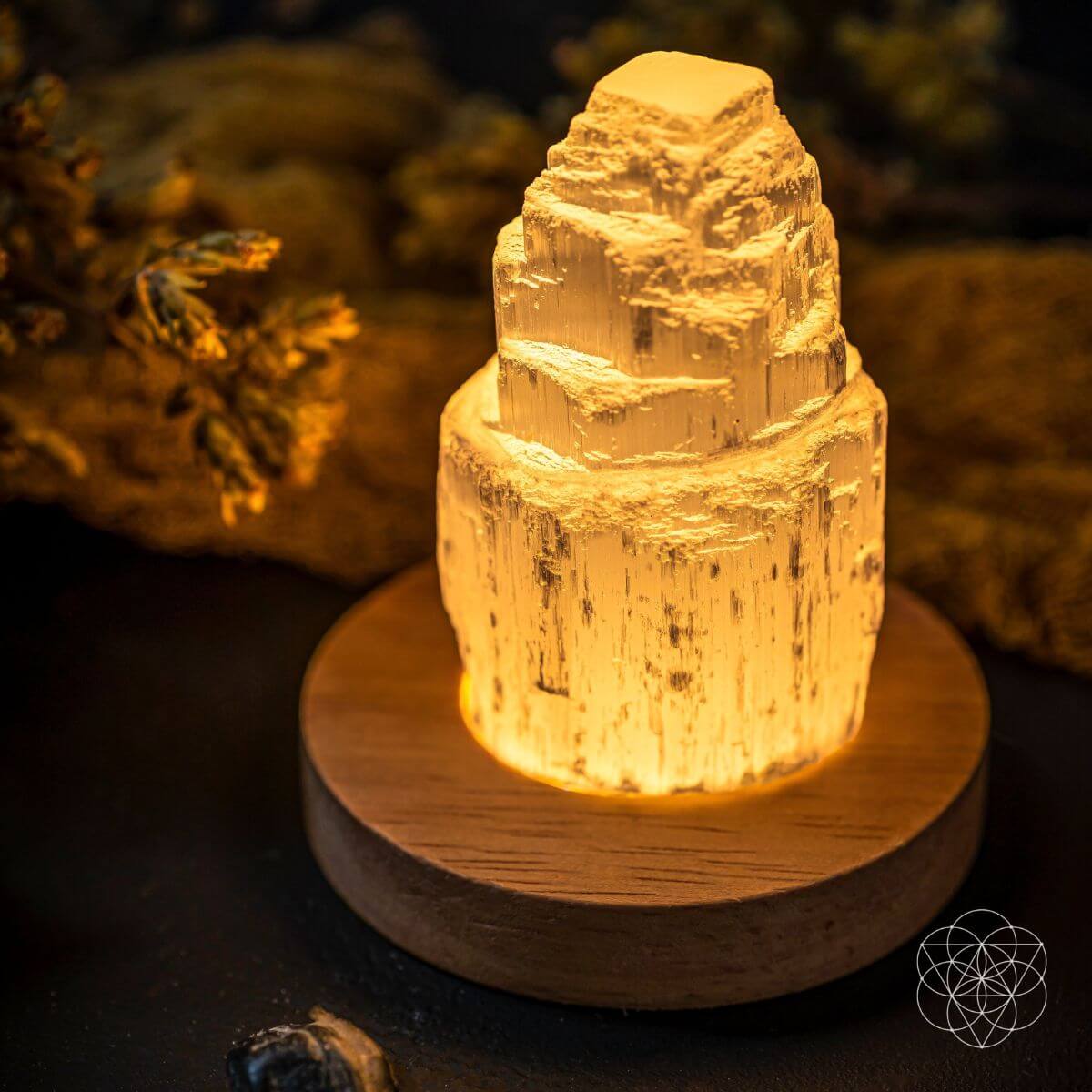 Selenite Cleansing Lamp - Pileggi on the Square Salon Powered by Gatto Salon Group