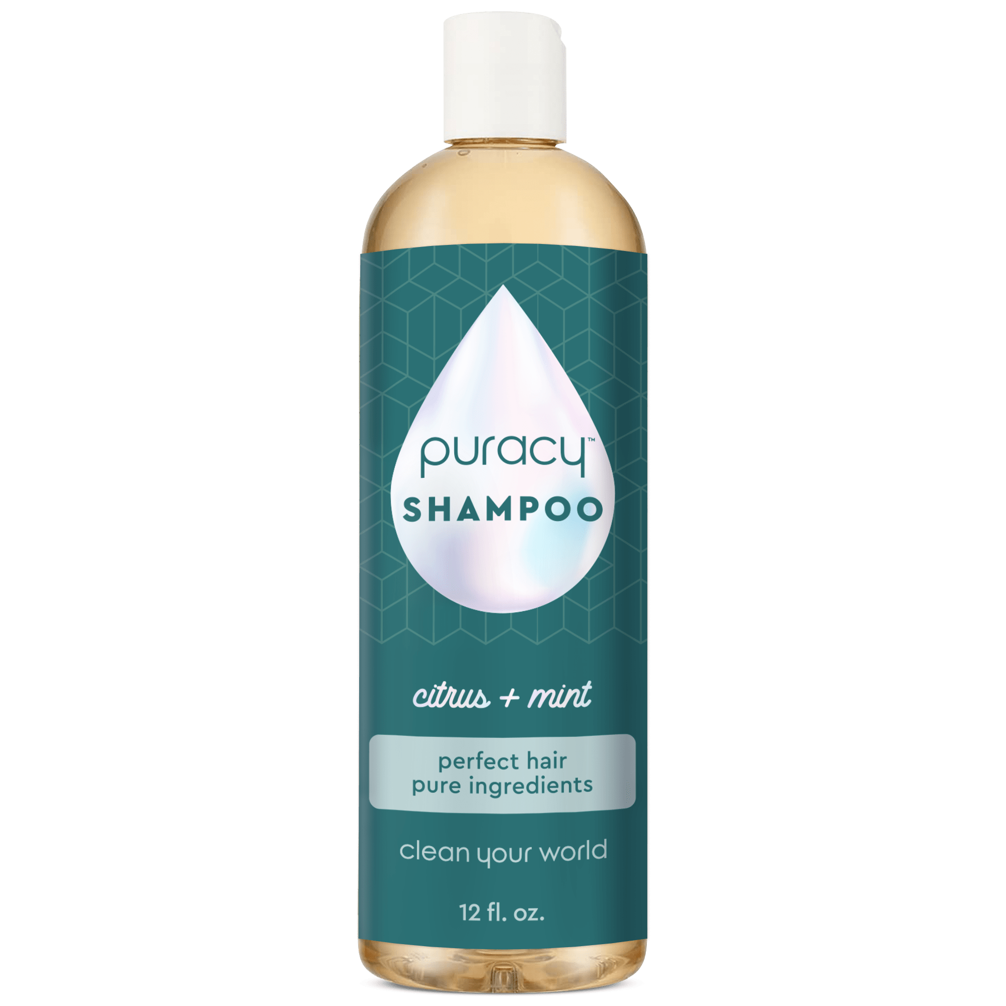 Shampoo (Sulfate/Paraben/Silicone - Free) - Pileggi on the Square Salon Powered by Gatto Salon Group