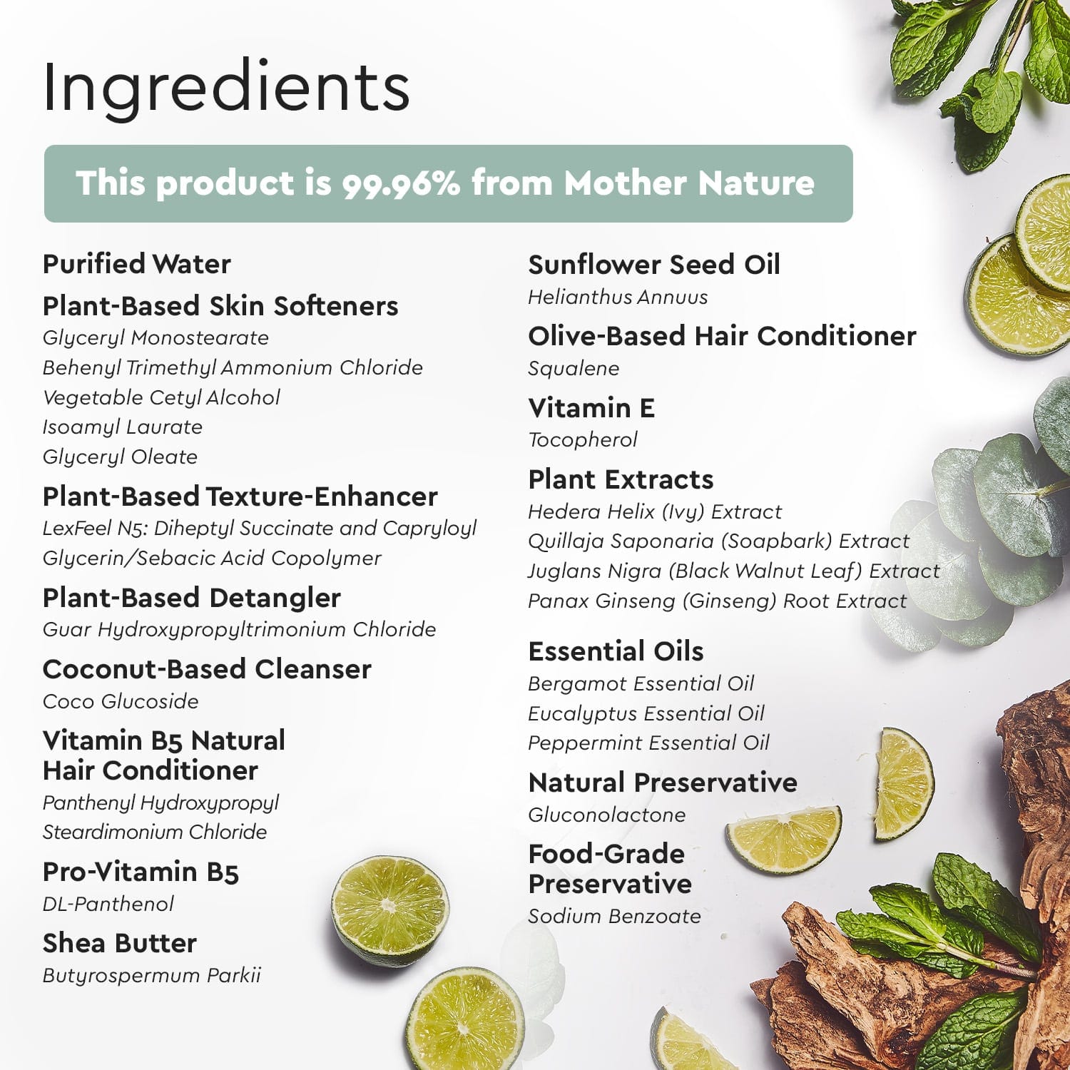 Shampoo (Sulfate/Paraben/Silicone - Free) - Pileggi on the Square Salon Powered by Gatto Salon Group