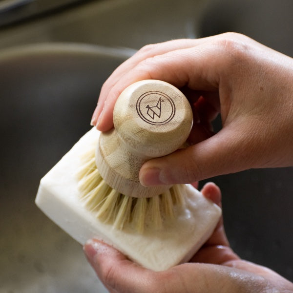Solid Coconut Soap Dish Bar