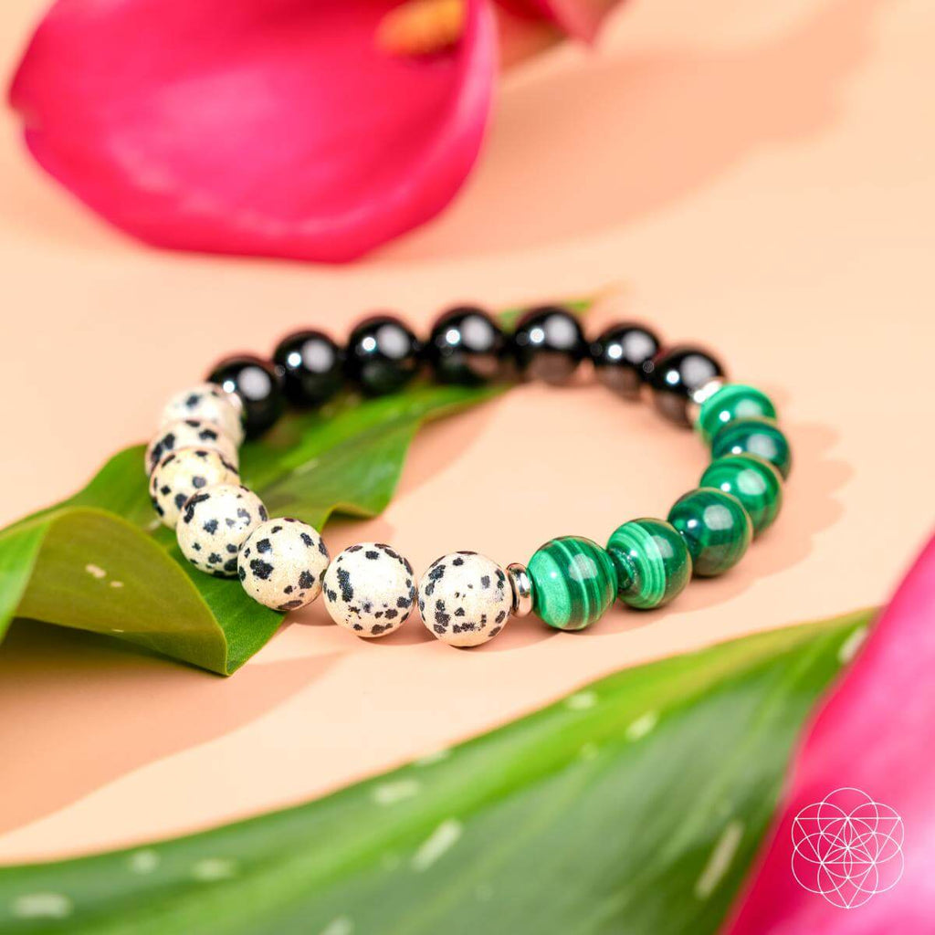 Soul Reset: Dalmatian Jasper Bracelet of Healing - Pileggi on the Square Salon Powered by Gatto Salon Group