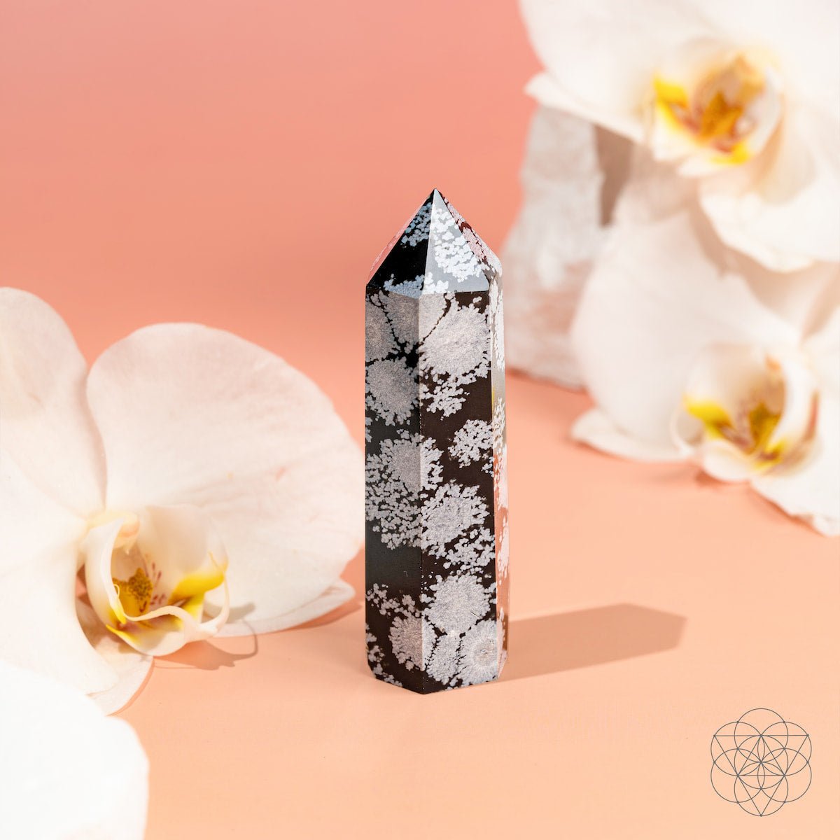 Spiritual Bodyguard - Snowflake Obsidian Point - Pileggi on the Square Salon Powered by Gatto Salon Group