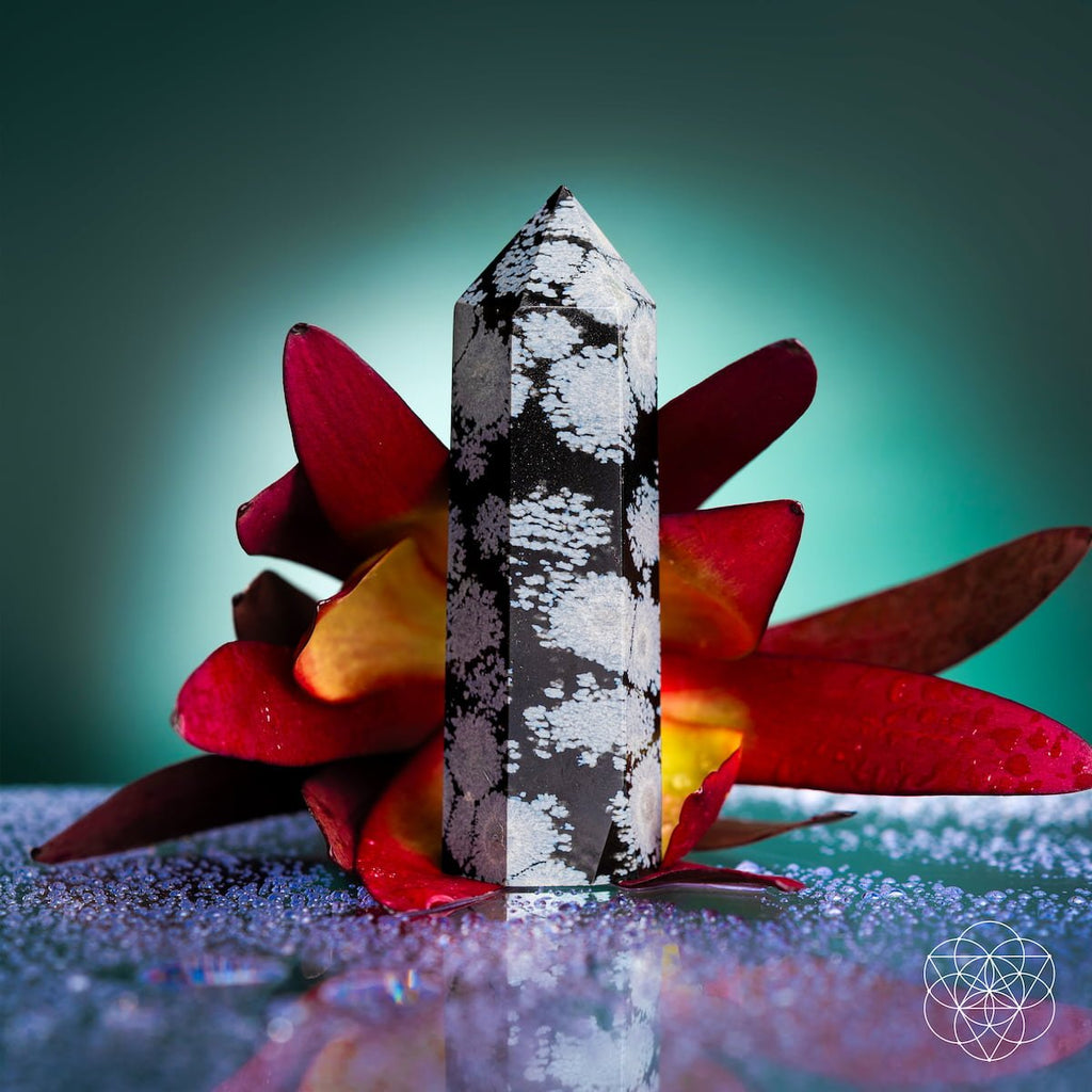 Spiritual Bodyguard - Snowflake Obsidian Point - Pileggi on the Square Salon Powered by Gatto Salon Group
