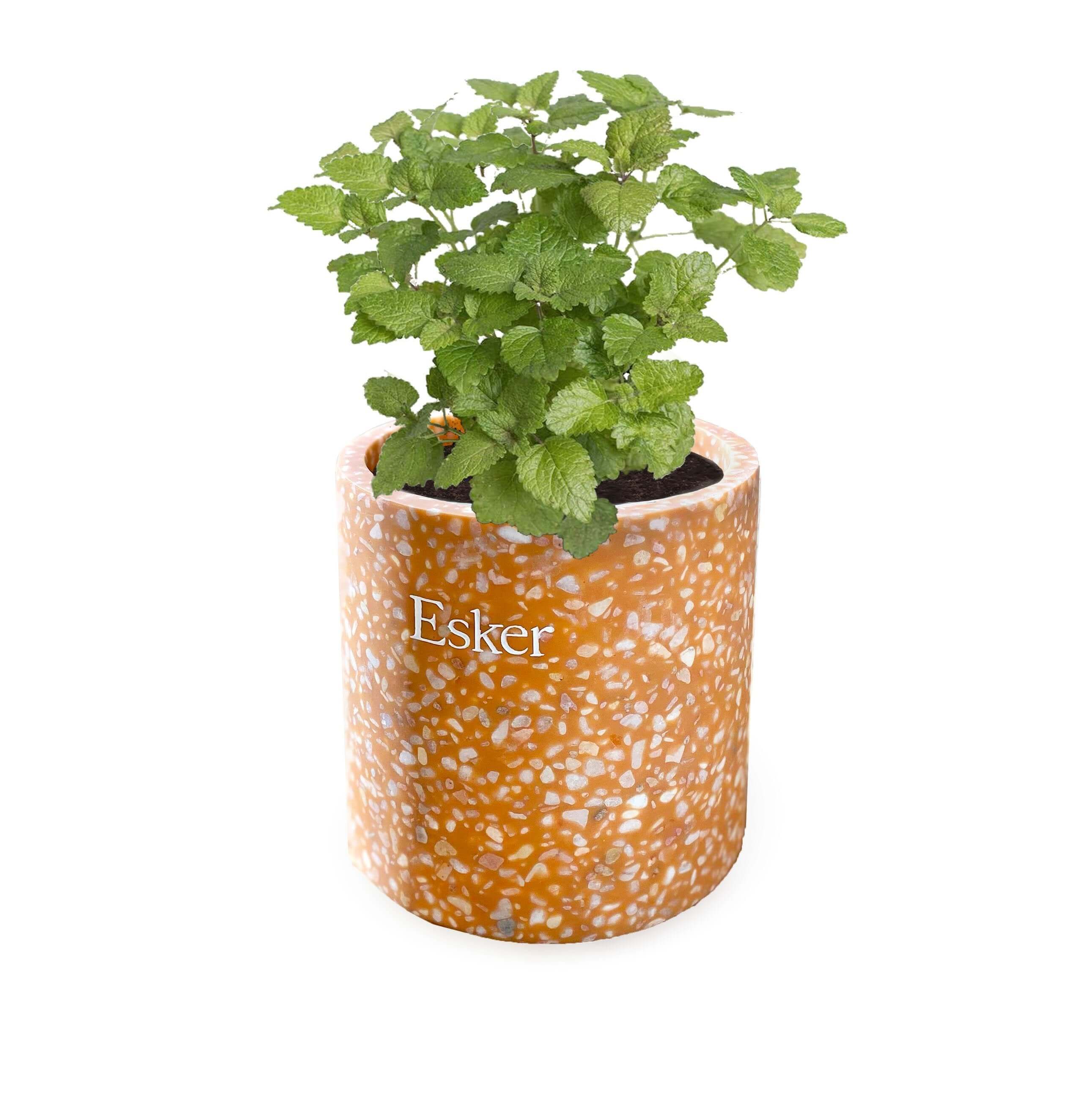 Terracotta Plantable Candle