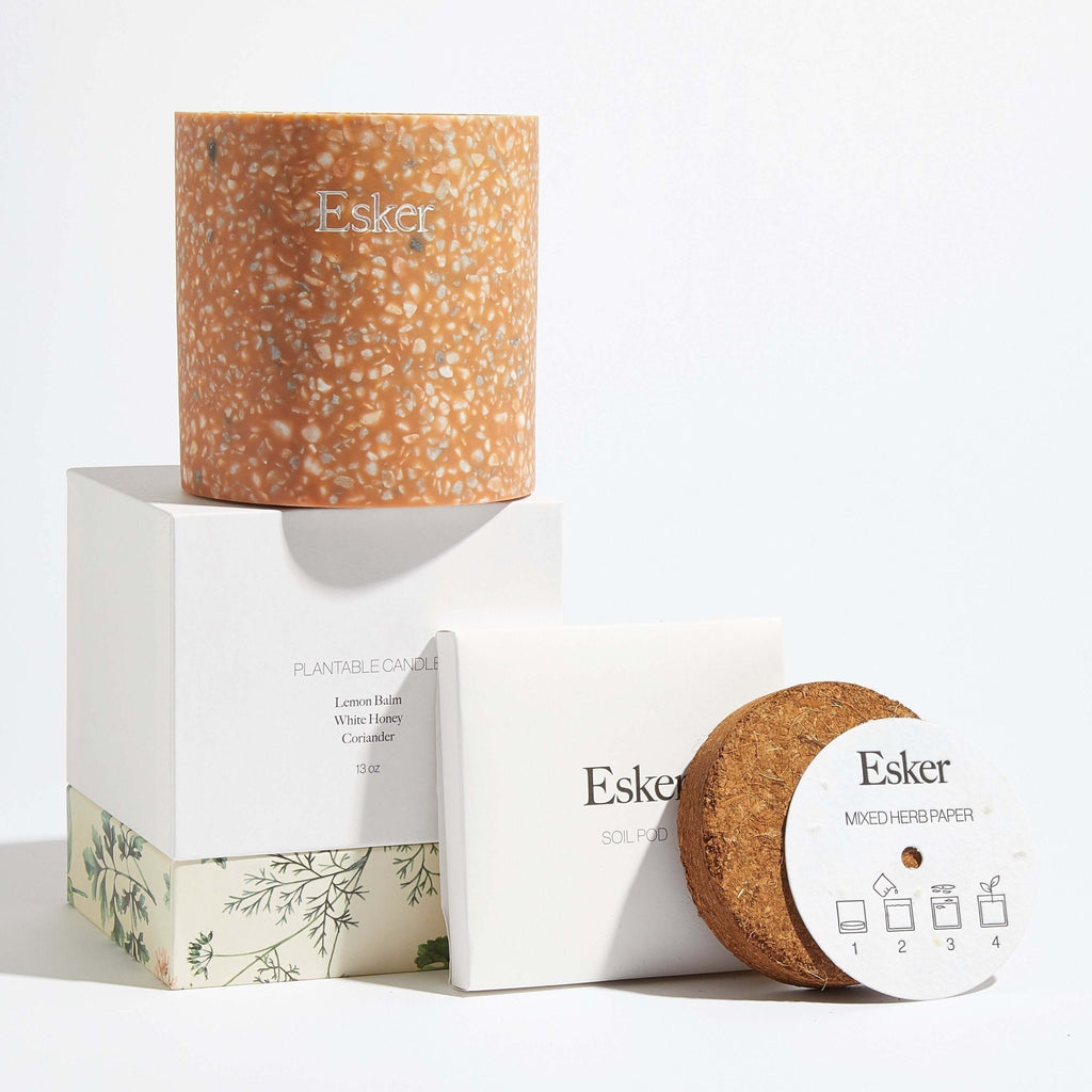 Terracotta Plantable Candle - Pileggi on the Square Salon Powered by Gatto Salon Group