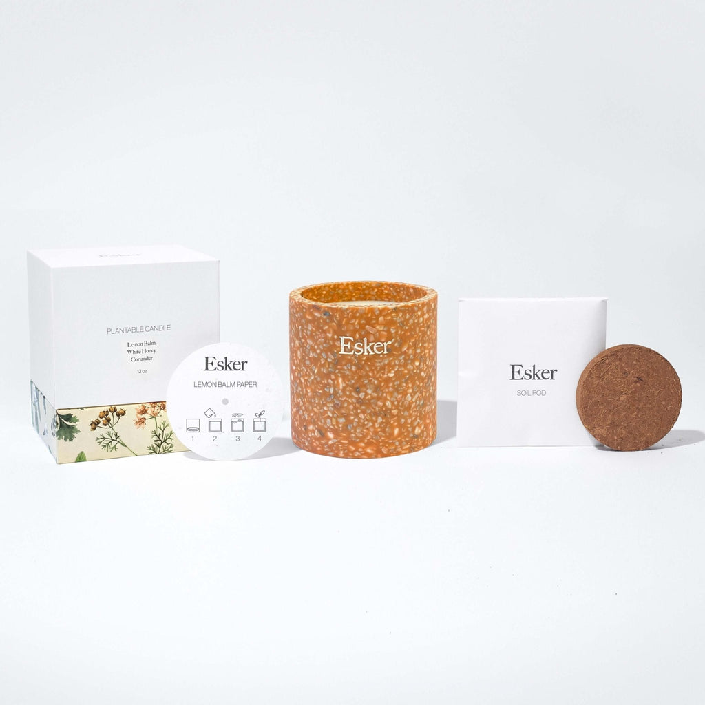 Terracotta Plantable Candle - Pileggi on the Square Salon Powered by Gatto Salon Group