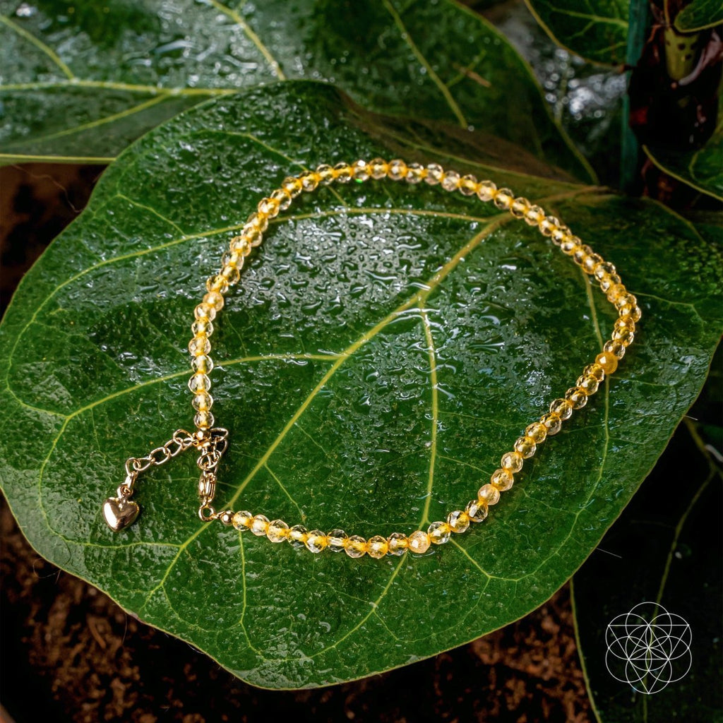 The Abundance Anklet - Pileggi on the Square Salon Powered by Gatto Salon Group