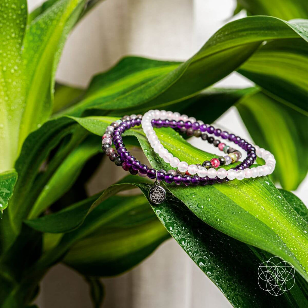 The Anxiety - Free Bracelet Set - Pileggi on the Square Salon Powered by Gatto Salon Group