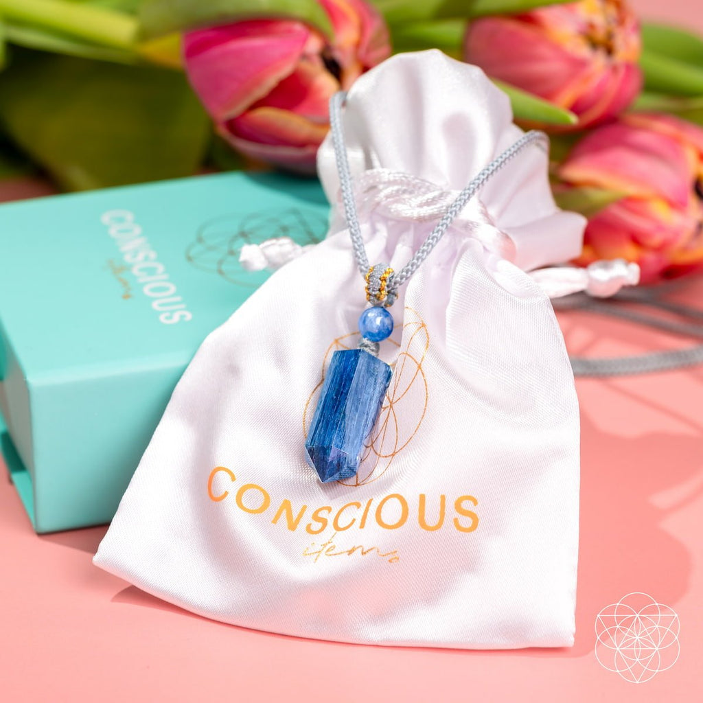 The Aura Shield - Rare Kyanite Pendant - Pileggi on the Square Salon Powered by Gatto Salon Group