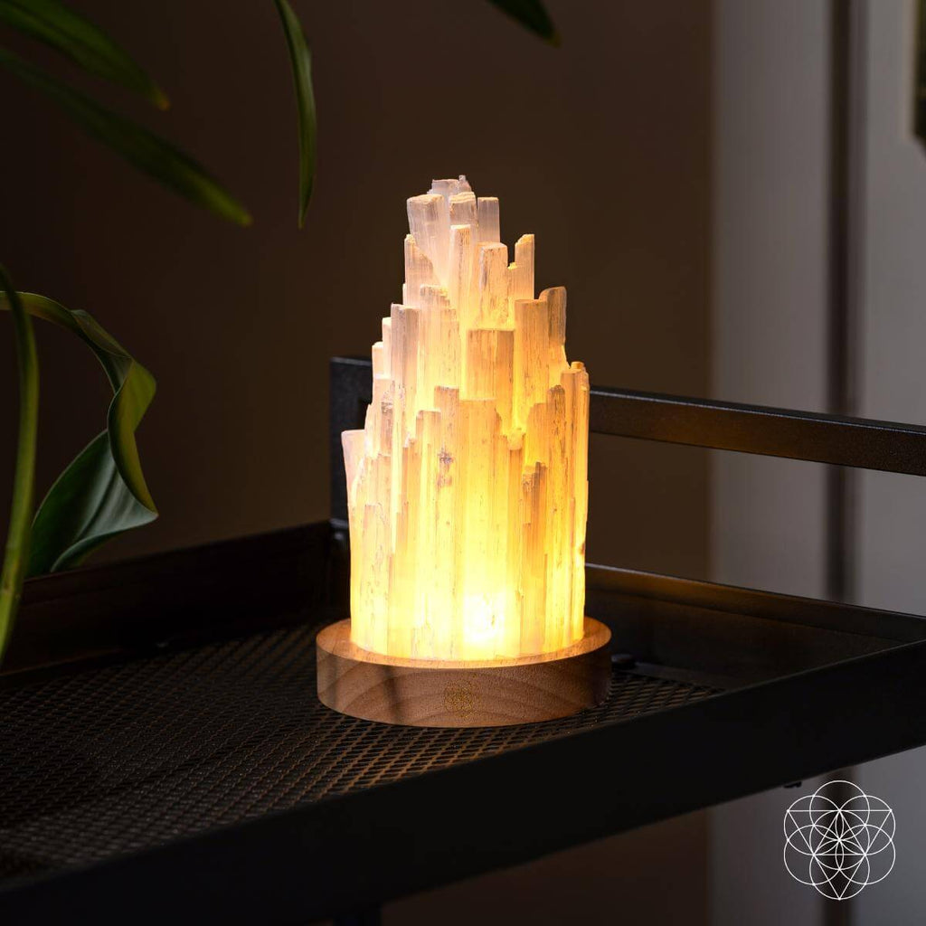 The Cleanse - All Selenite Lamp - 2 Pounds of Healing Power - Pileggi on the Square Salon Powered by Gatto Salon Group