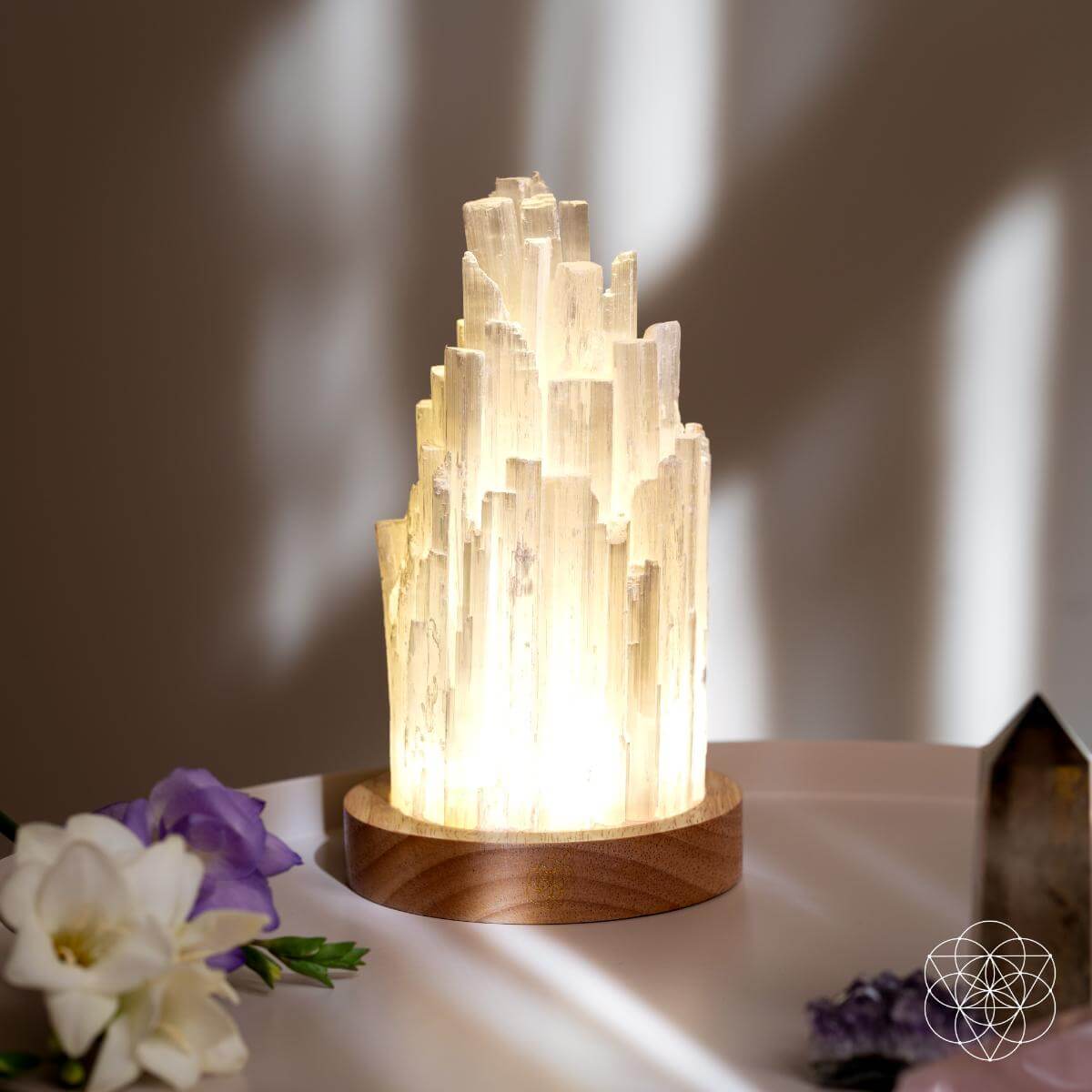 The Cleanse - All Selenite Lamp - 2 Pounds of Healing Power - Pileggi on the Square Salon Powered by Gatto Salon Group