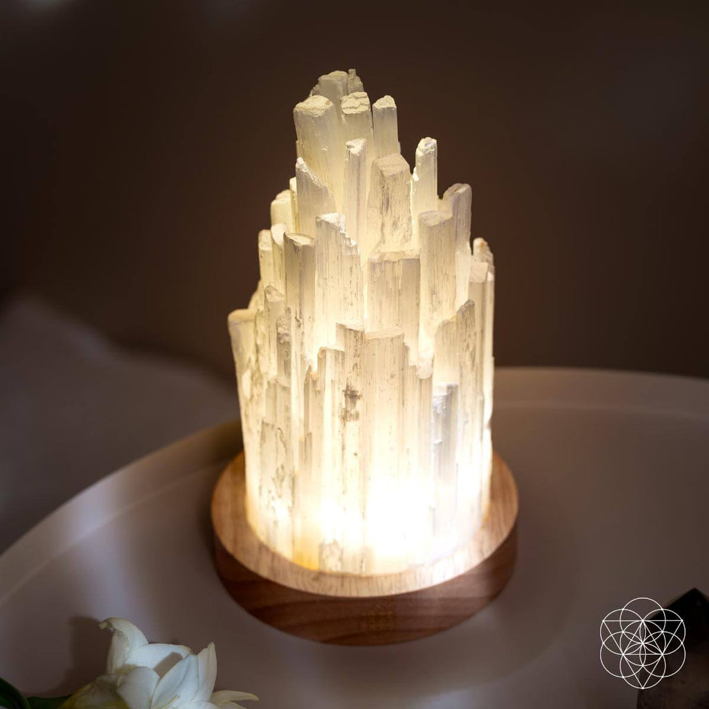 The Cleanse - All Selenite Lamp - 2 Pounds of Healing Power - Pileggi on the Square Salon Powered by Gatto Salon Group