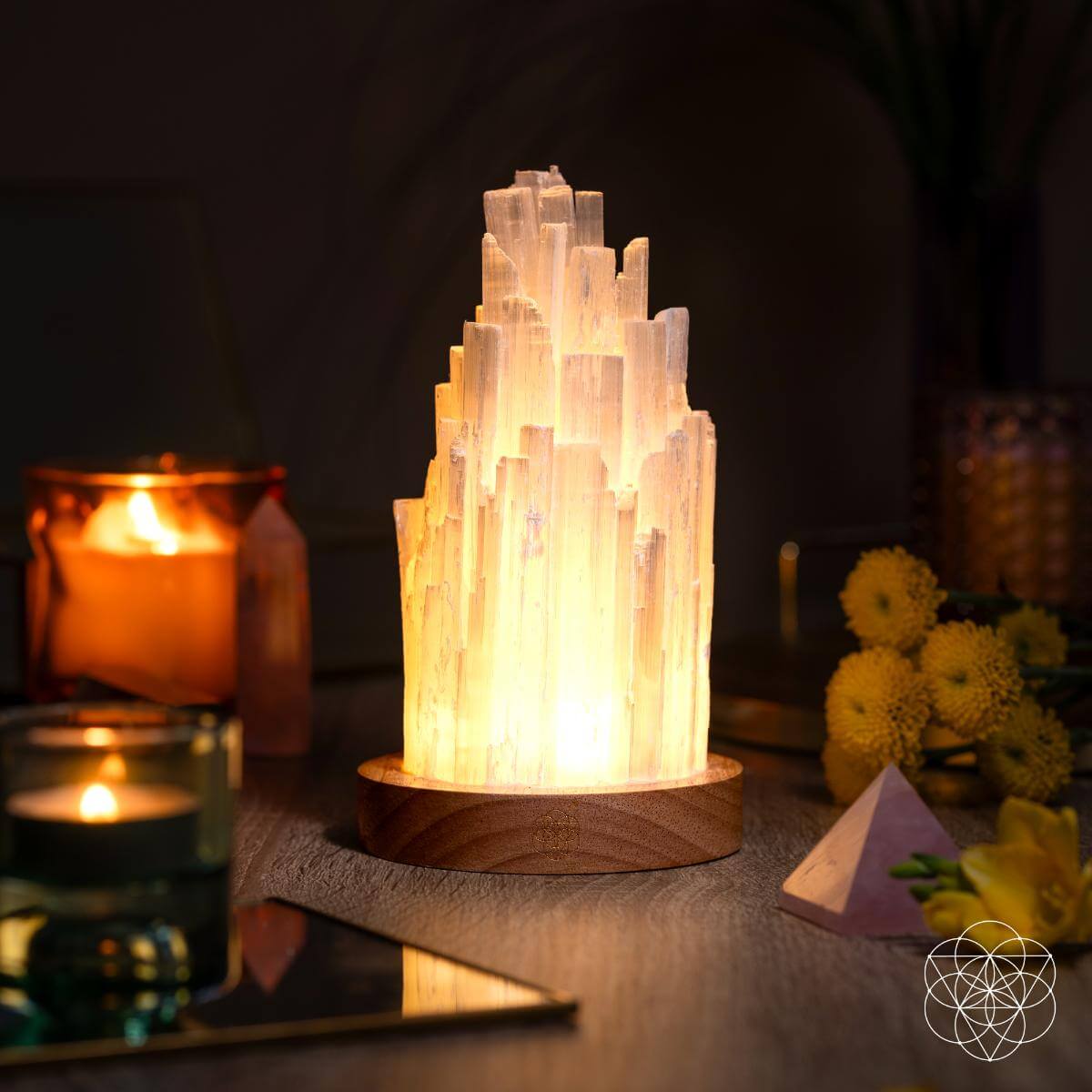 The Cleanse - All Selenite Lamp - 2 Pounds of Healing Power - Pileggi on the Square Salon Powered by Gatto Salon Group
