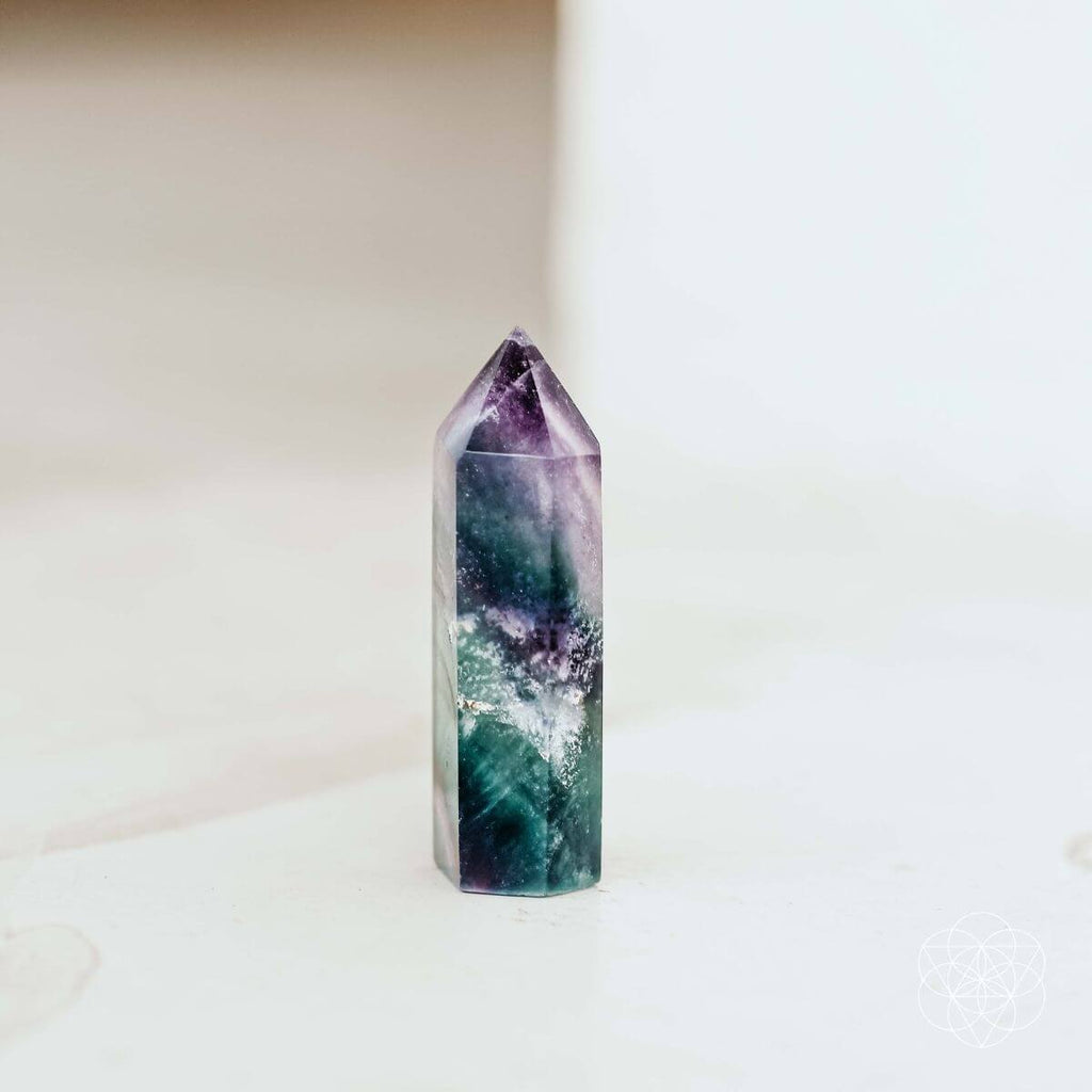 The Cleansing Stone - Pileggi on the Square Salon Powered by Gatto Salon Group