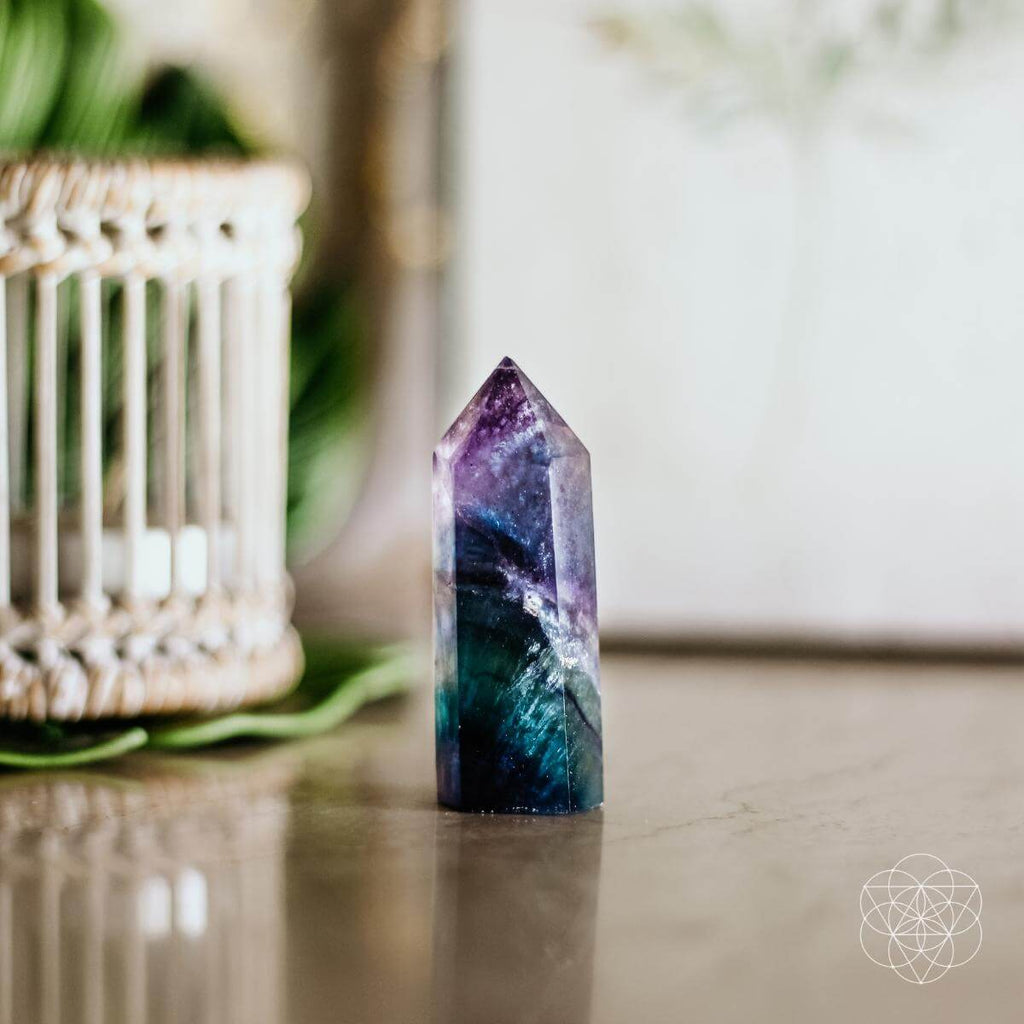 The Cleansing Stone - Pileggi on the Square Salon Powered by Gatto Salon Group