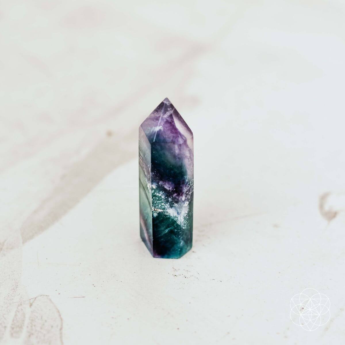 The Cleansing Stone - Pileggi on the Square Salon Powered by Gatto Salon Group