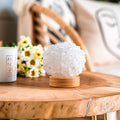 The Curative Lamp - Pileggi on the Square Salon Powered by Gatto Salon Group