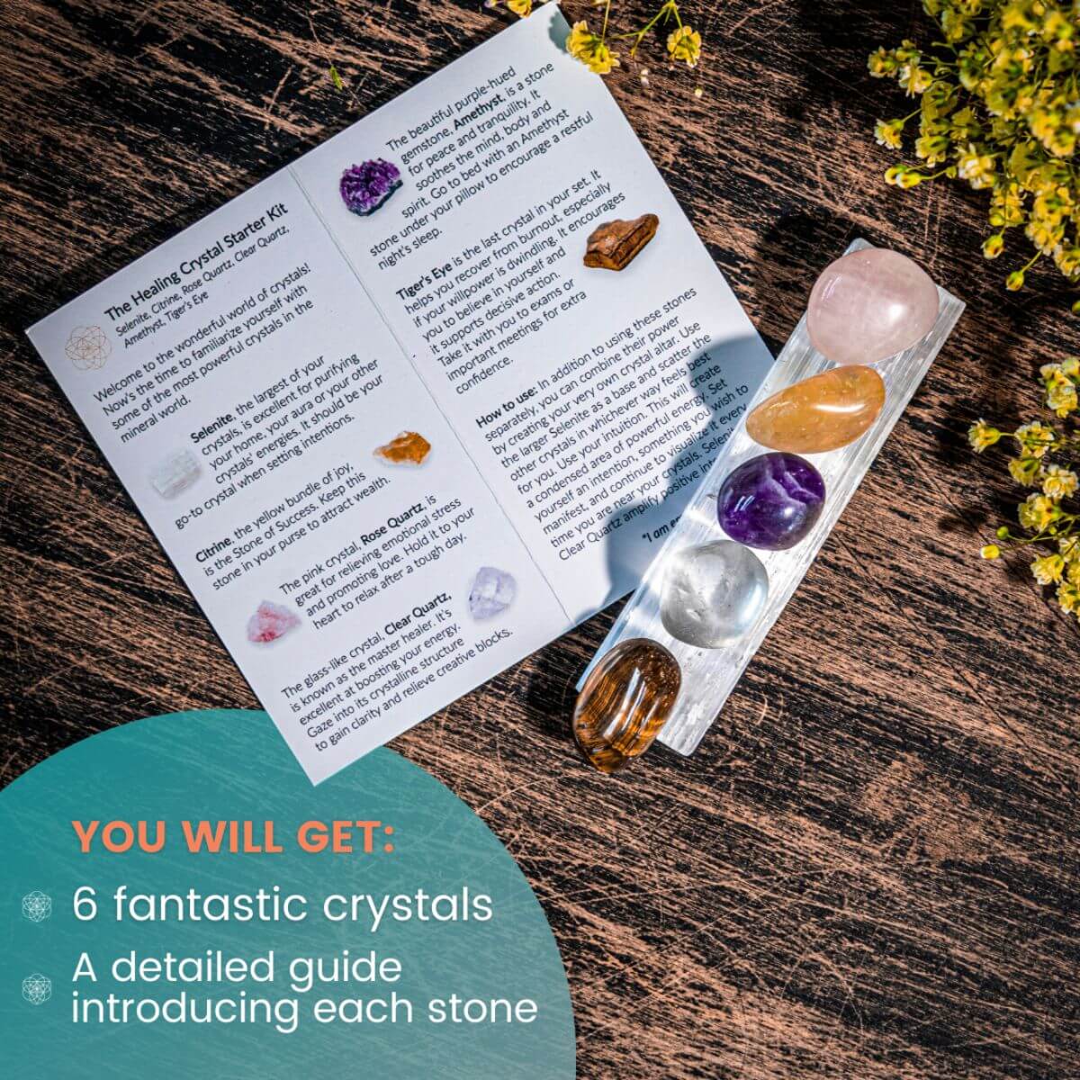 The Healing Crystal Starter Kit - Pileggi on the Square Salon Powered by Gatto Salon Group