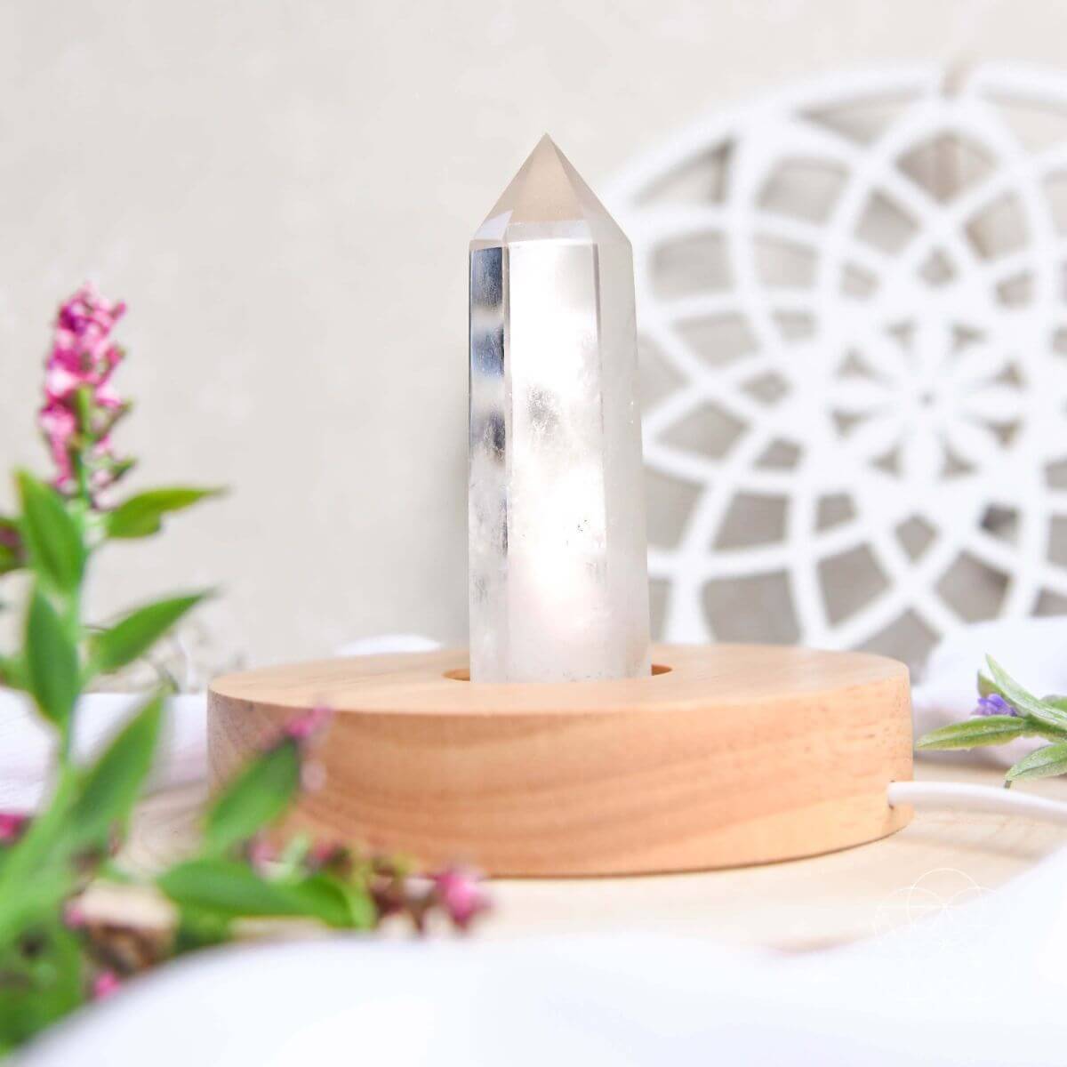 The Healing Lamp - Pileggi on the Square Salon Powered by Gatto Salon Group