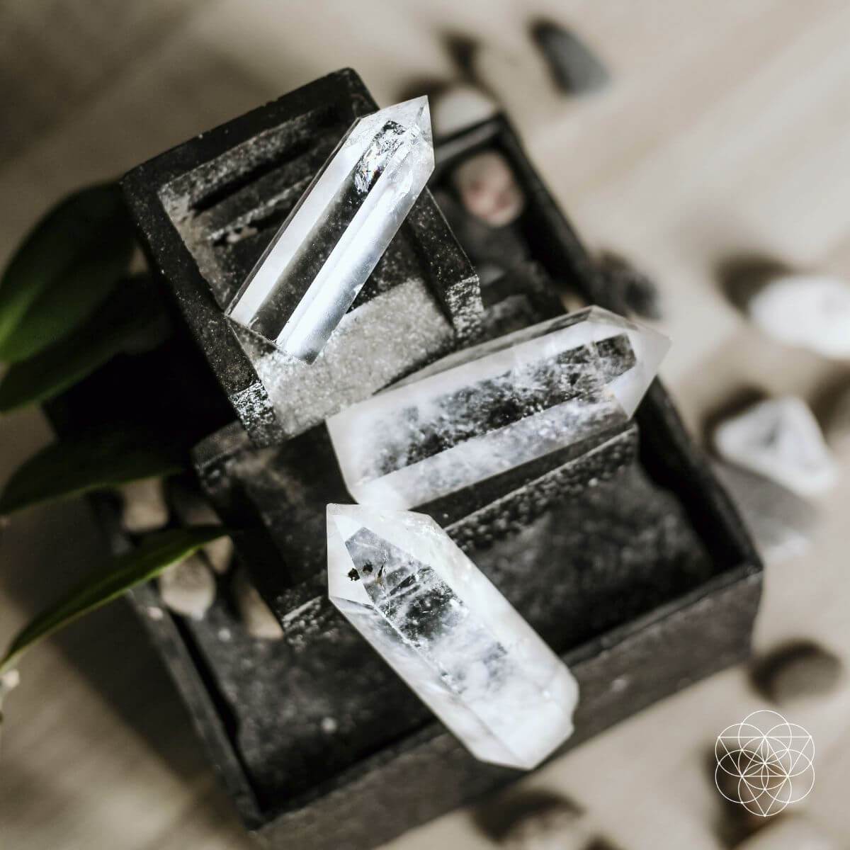 The Intention Stone - Pileggi on the Square Salon Powered by Gatto Salon Group