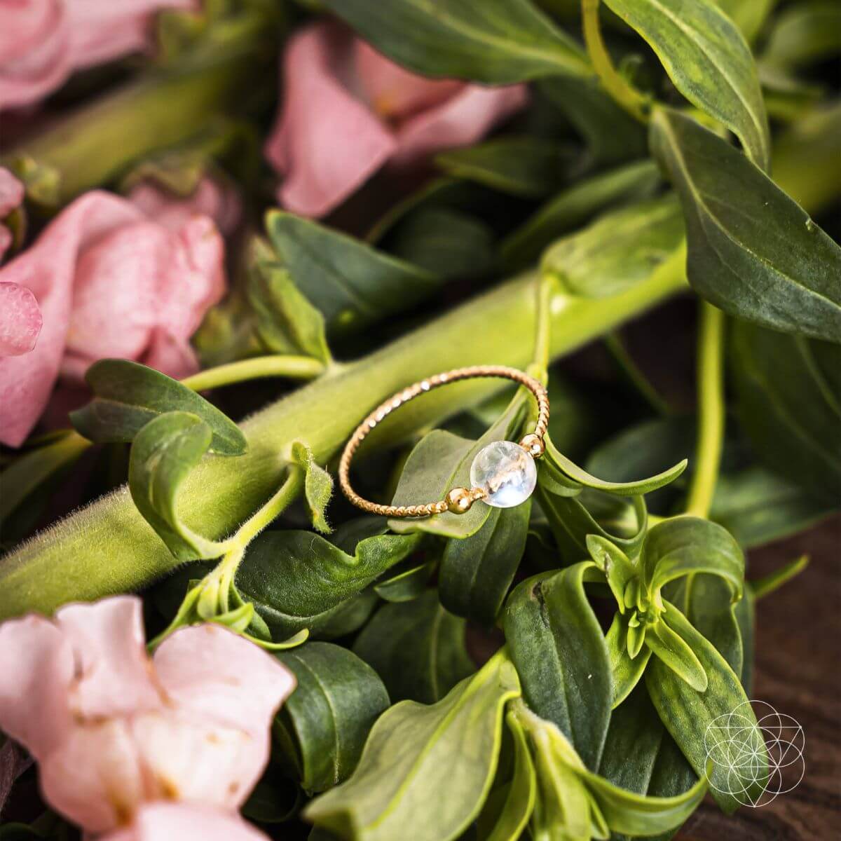 The Lunar Ring of Power - Pileggi on the Square Salon Powered by Gatto Salon Group
