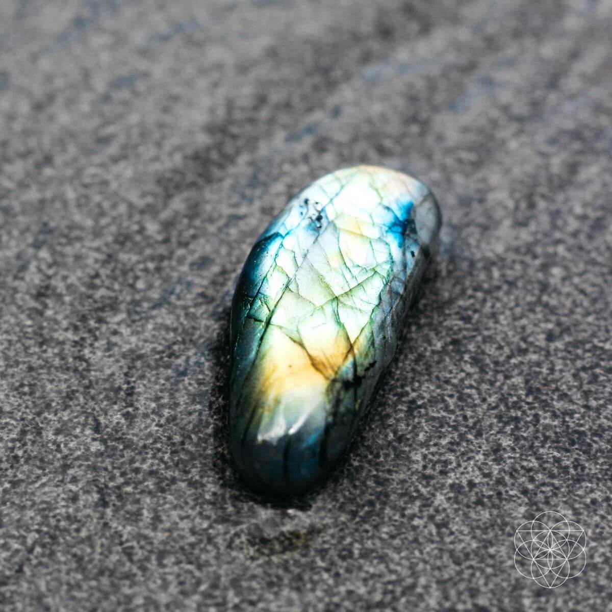 The Mind - Expanding Stone - Pileggi on the Square Salon Powered by Gatto Salon Group
