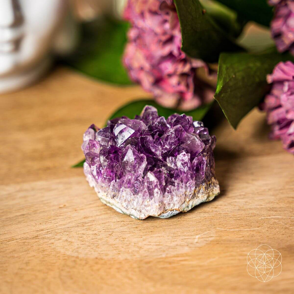 The Natural Intuition Stone - Pileggi on the Square Salon Powered by Gatto Salon Group