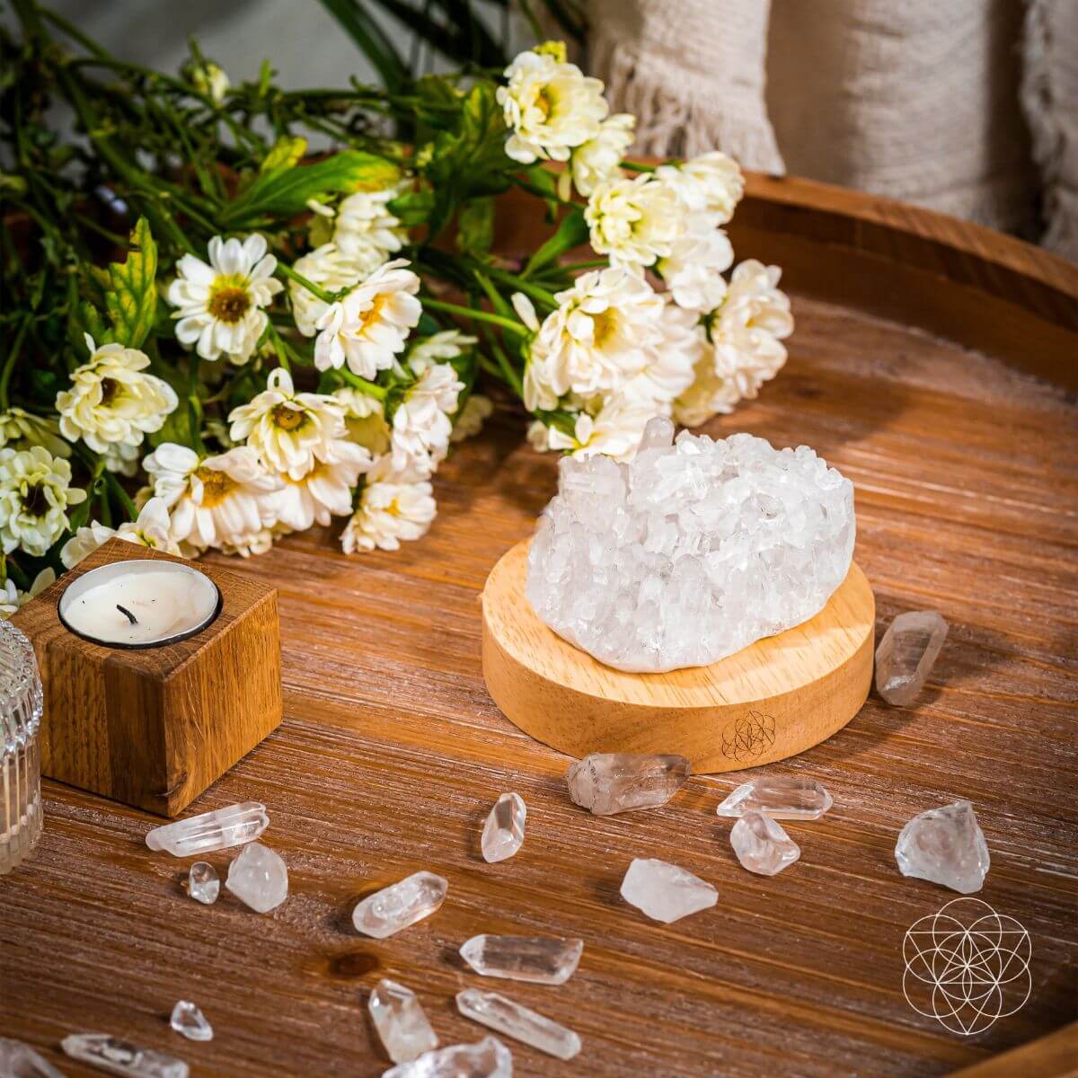 The Purification Lamp - Pileggi on the Square Salon Powered by Gatto Salon Group