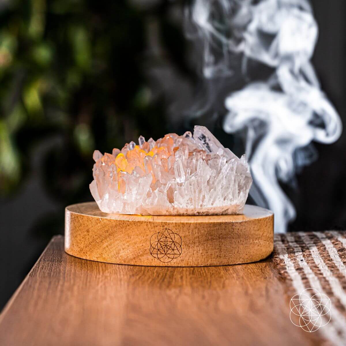 The Purification Lamp - Pileggi on the Square Salon Powered by Gatto Salon Group