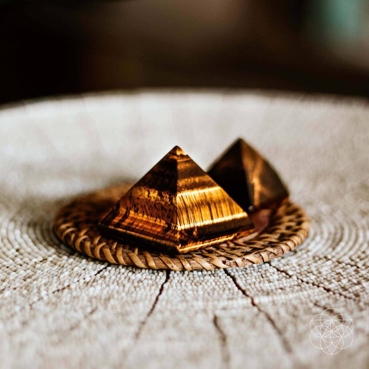 The Pyramid of Focus - Pileggi on the Square Salon Powered by Gatto Salon Group
