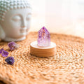 The Serenity Lamp - Pileggi on the Square Salon Powered by Gatto Salon Group