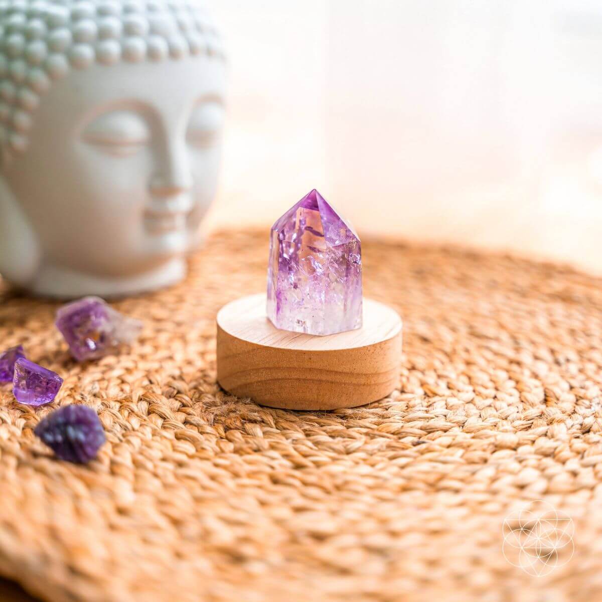 The Serenity Lamp - Pileggi on the Square Salon Powered by Gatto Salon Group