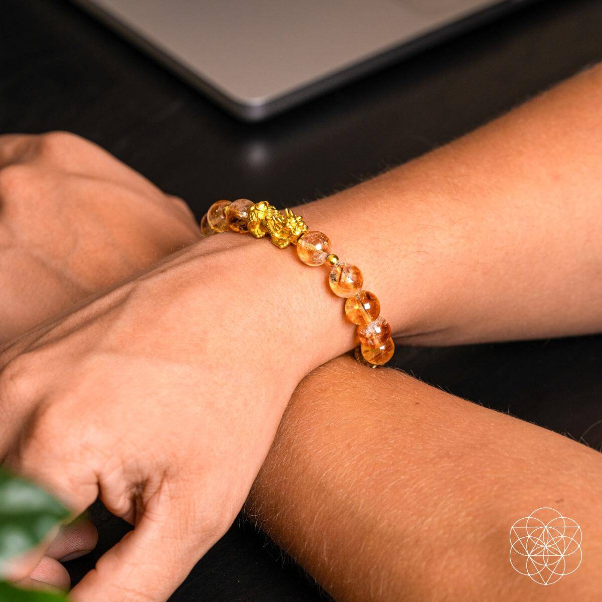 The Ultimate Wealth Bracelet - Pileggi on the Square Salon Powered by Gatto Salon Group