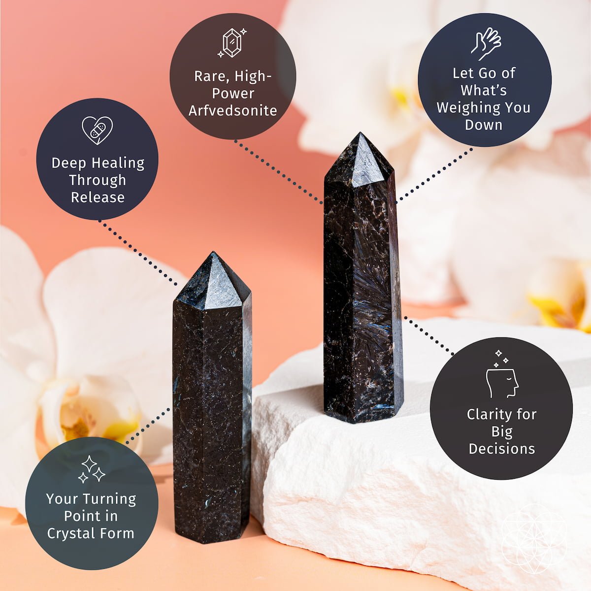 This Is Your Breakthrough – Rare Arfvedsonite Point - Pileggi on the Square Salon Powered by Gatto Salon Group