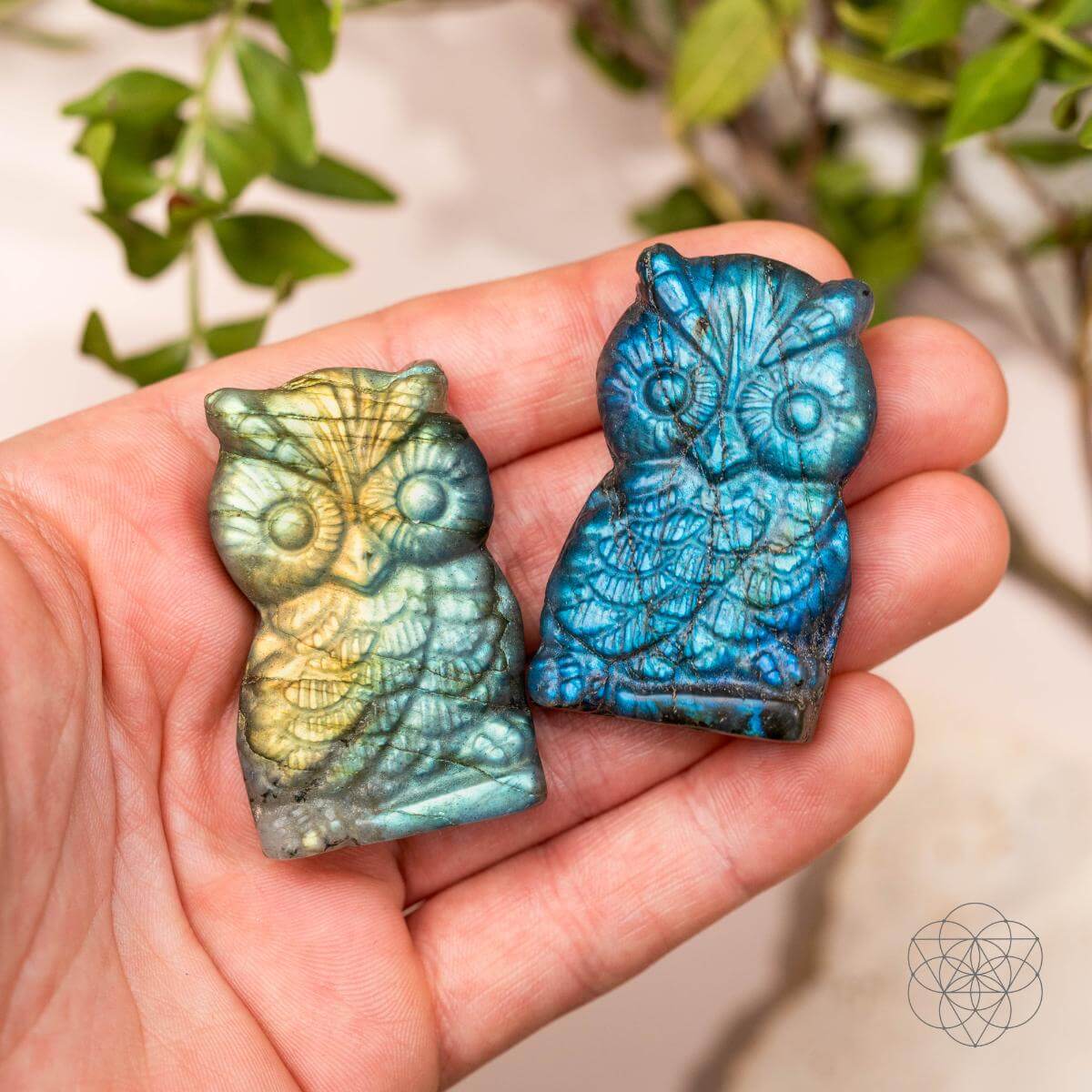 Token of Wisdom - Labradorite Owl Talisman - Pileggi on the Square Salon Powered by Gatto Salon Group