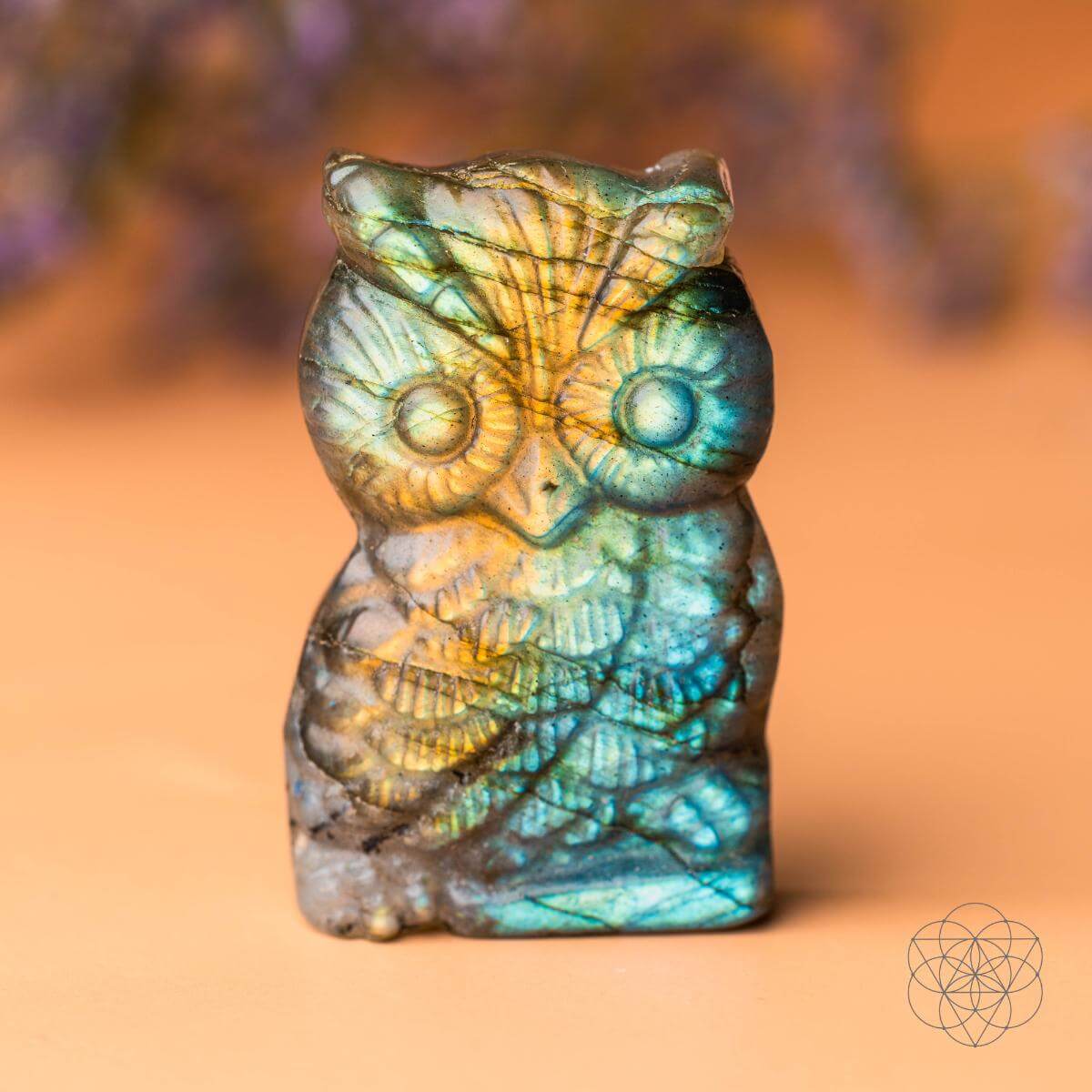 Token of Wisdom - Labradorite Owl Talisman - Pileggi on the Square Salon Powered by Gatto Salon Group