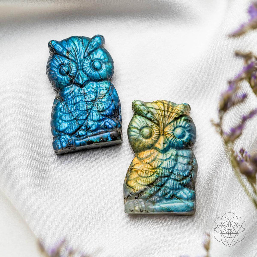 Token of Wisdom - Labradorite Owl Talisman - Pileggi on the Square Salon Powered by Gatto Salon Group