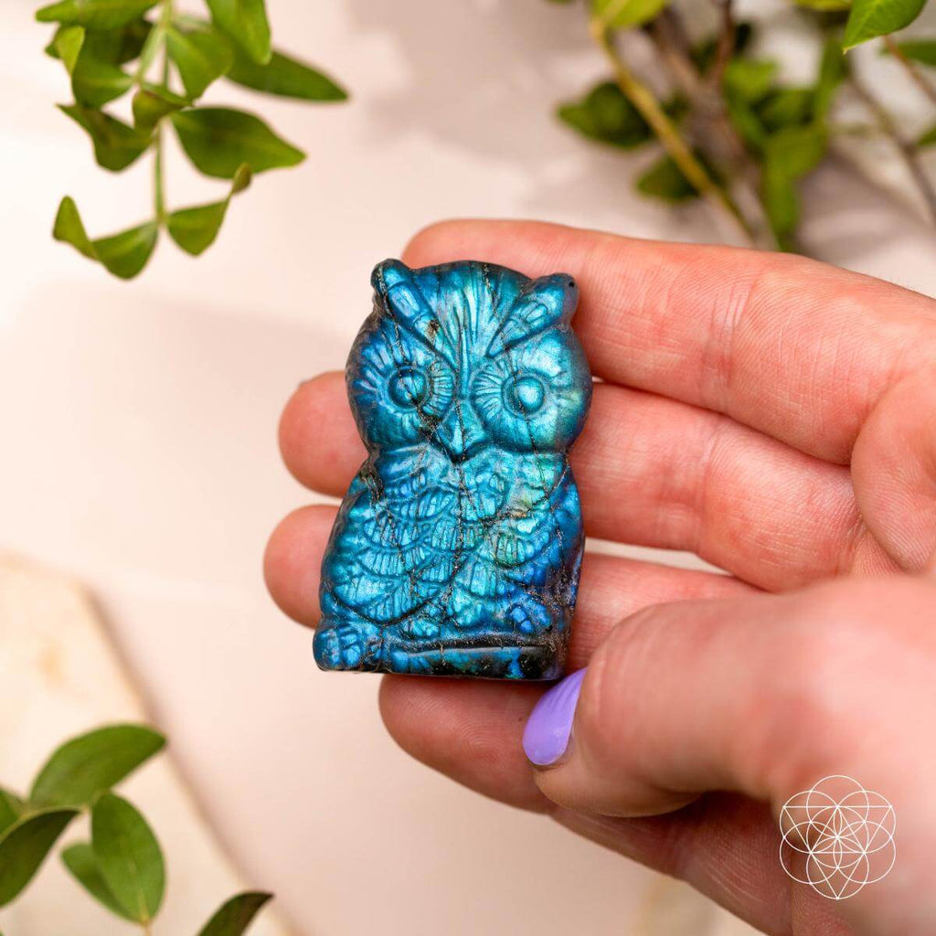 Token of Wisdom - Labradorite Owl Talisman - Pileggi on the Square Salon Powered by Gatto Salon Group
